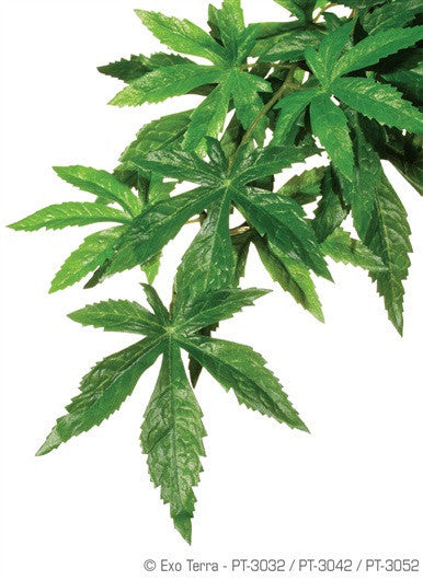 silk terrarium plants Exo Terra Silk Plant, Ambutilon; available in 3 sizes – bold-custom-projects