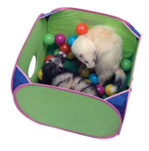 Pop-N-Play for Ferrets