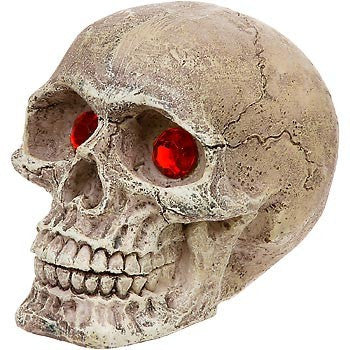 Penn-Plax Skull Gazer -Small