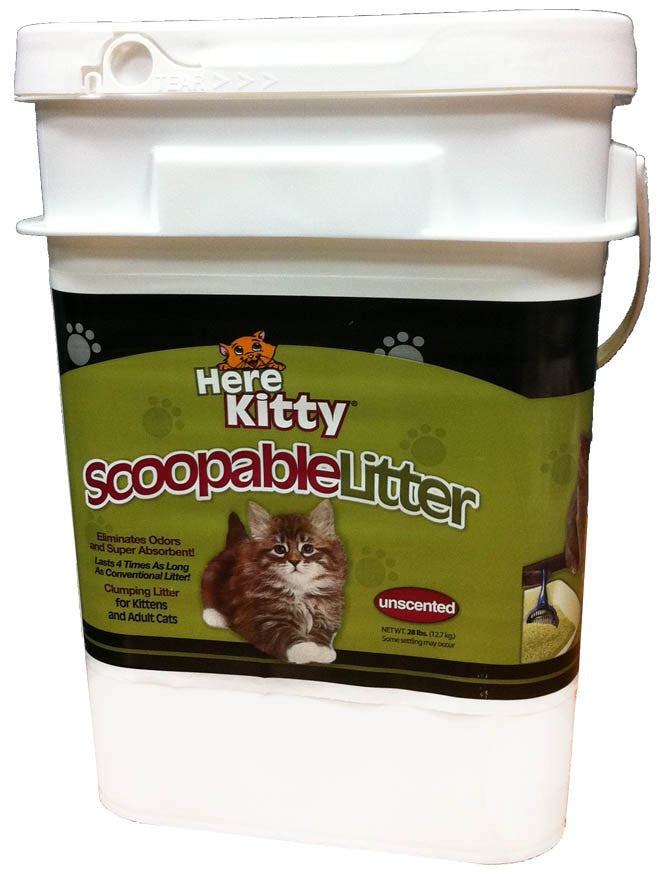 Non toxic litter online