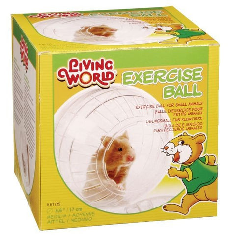 Living World Exercise Ball with stand