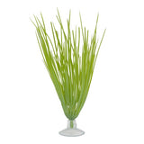Marina Betta Kit Hairgrass Plant With Suction Cup - 12.7 cm (5")