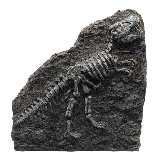 Marina Decorative Fossils, T-REX