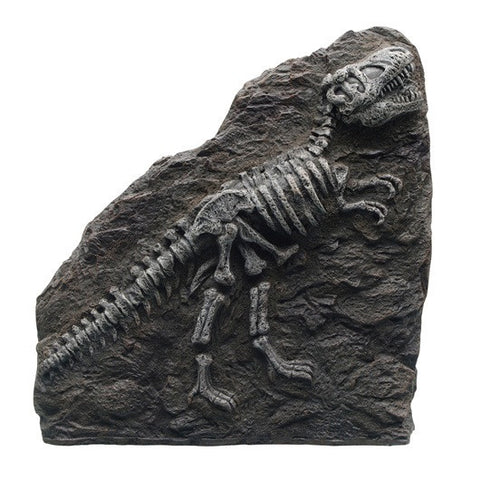 Marina Decorative Fossils, T-REX