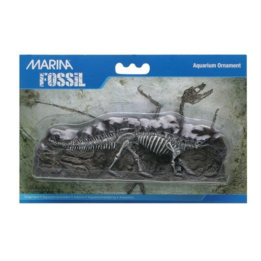 Marina Decorative Fossils - Stegosaurus