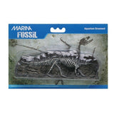 Marina Decorative Fossils - Stegosaurus