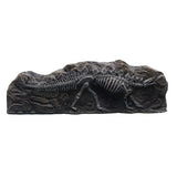 Marina Fossil Ornament Stegosaurus
