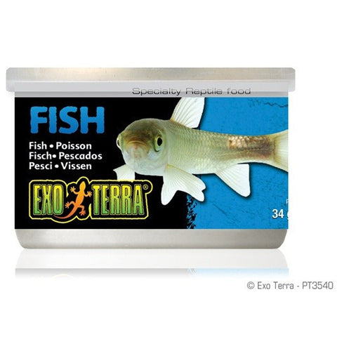 PT3540 Exo Terra Fish