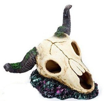 Ram Skull Aquarium Ornament