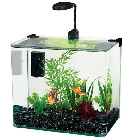 Radius Desktop 3.4 Gallon Aquarium Kit