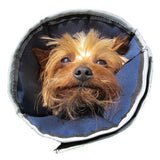 Procone Soft Recovery Collar; Available in a variety of sizes!