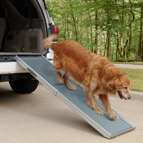 Solvit Deluxe Telescoping Ramp XL (SPECIAL ORDER)