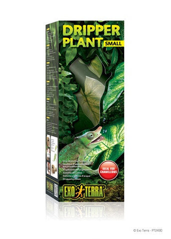 Exo Terra Dripper Plant - Small