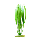 Marina AquaScaper 30cm - Amazon Sword