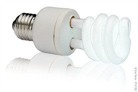 Exo Terra Natural Light; available in different sizes