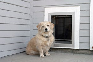 PlexiDor Wall Mount Performance Pet Doors