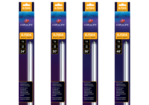 Coralife actinic deals blue light t5