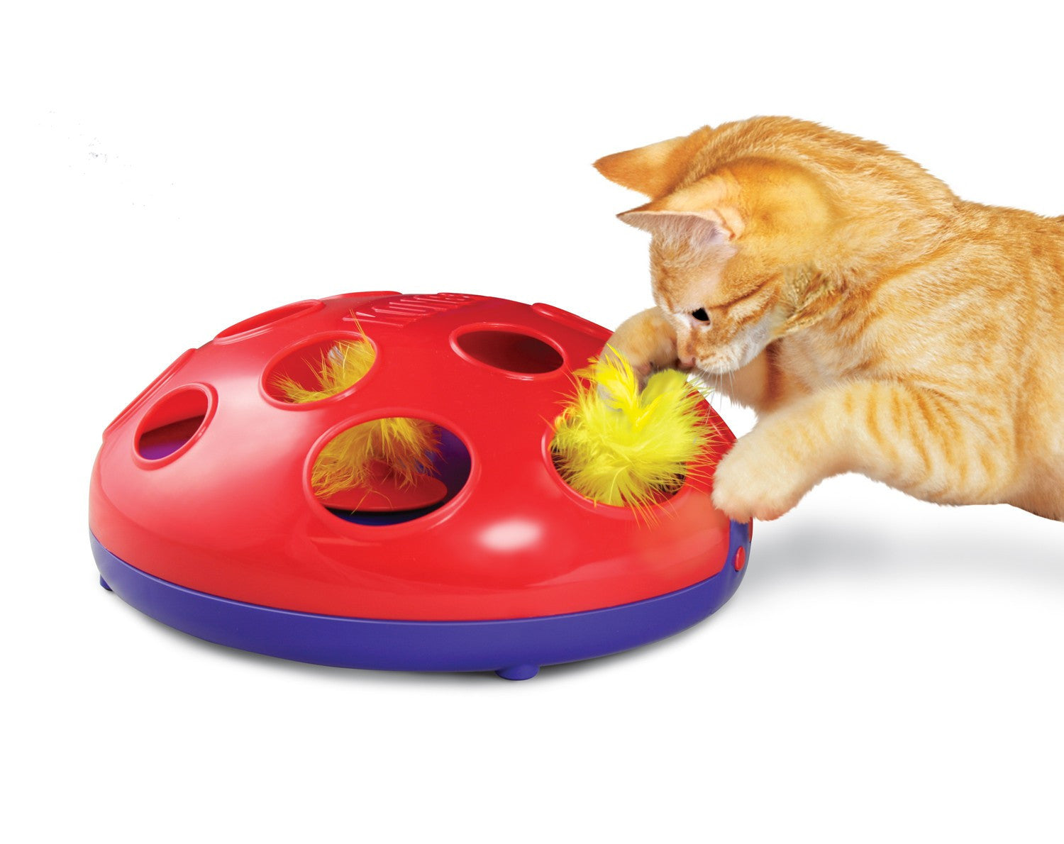 Seek and top swat cat toy