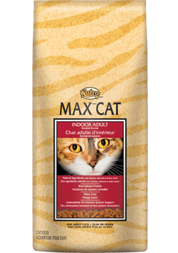 Nutro Max Cat Indoor Adult Salmon Dry Formula