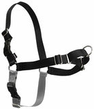 Petsafe Easy Walk Harness with Lead; 4 sizes available