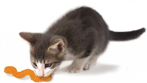 Petstages OrkaKat Wiggle Worm