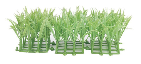 Marina Root Scaper Chain Amazon 