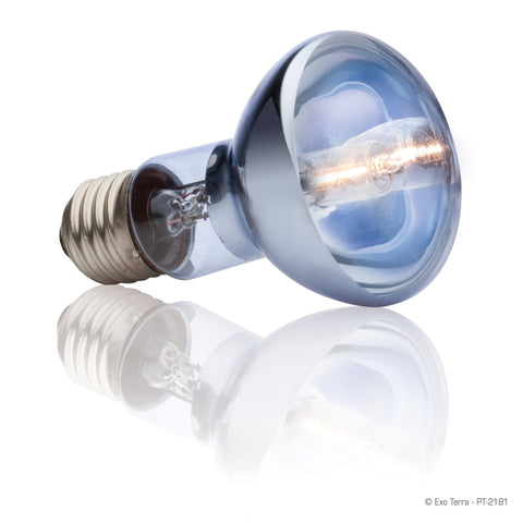 Exo Terra Halogen Basking Spot Lamp; available in different sizes