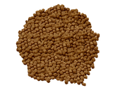 Science Diet Kitten Healthy Development Formula Original; Available in 2 sizes