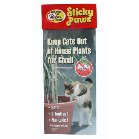 Sticky Paws for Plants