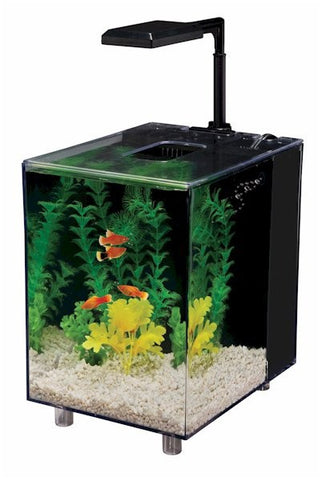 Prism Desktop 2 Gallon Aquarium Kit